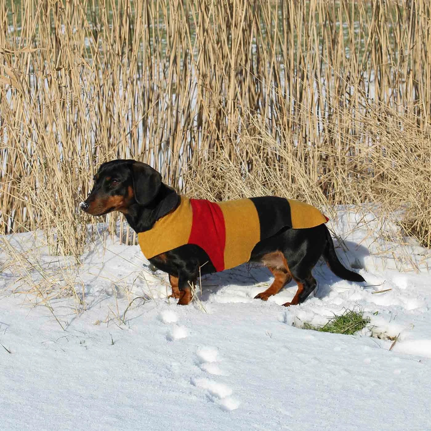 Best deal 😀 New 👏 Personalised Miniature Dachshund Fleece by Lords & Labradors 😀 😀 20 Best deal 😀 New 👏 Personalised Miniature Dachshund Fleece by Lords & Labradors 😀 😀 - Image 20