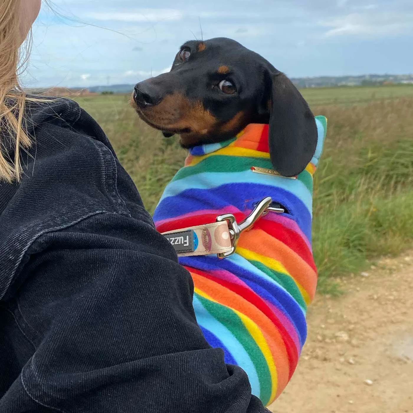 Best deal 😀 New 👏 Personalised Miniature Dachshund Fleece by Lords & Labradors 😀 😀 13 Best deal 😀 New 👏 Personalised Miniature Dachshund Fleece by Lords & Labradors 😀 😀 - Image 13