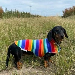 Best deal 😀 New 👏 Personalised Miniature Dachshund Fleece by Lords & Labradors 😀 😀 34 Best deal 😀 New 👏 Personalised Miniature Dachshund Fleece by Lords & Labradors 😀 😀 -Cheap Lords & Labradors Store personalised miniature dachshund fleece by lords labradors rainbow field lifestyle