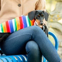 Best deal 😀 New 👏 Personalised Miniature Dachshund Fleece by Lords & Labradors 😀 😀 37 Best deal 😀 New 👏 Personalised Miniature Dachshund Fleece by Lords & Labradors 😀 😀 -Cheap Lords & Labradors Store personalised miniature dachshund fleece by lords labradors rainbow lifestyle