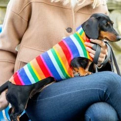 Best deal 😀 New 👏 Personalised Miniature Dachshund Fleece by Lords & Labradors 😀 😀 36 Best deal 😀 New 👏 Personalised Miniature Dachshund Fleece by Lords & Labradors 😀 😀 -Cheap Lords & Labradors Store personalised miniature dachshund fleece by lords labradors rainbow lifestyle close up