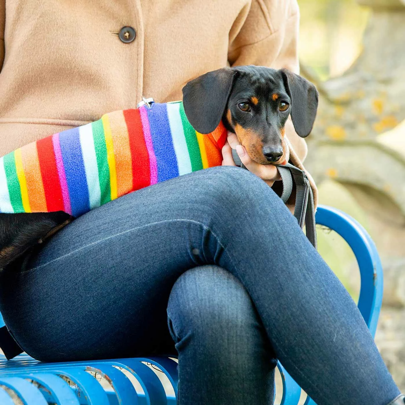 Best deal 😀 New 👏 Personalised Miniature Dachshund Fleece by Lords & Labradors 😀 😀 18 Best deal 😀 New 👏 Personalised Miniature Dachshund Fleece by Lords & Labradors 😀 😀 - Image 18