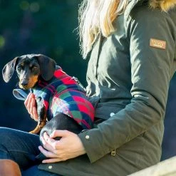 Best deal 😀 New 👏 Personalised Miniature Dachshund Fleece by Lords & Labradors 😀 😀 23 Best deal 😀 New 👏 Personalised Miniature Dachshund Fleece by Lords & Labradors 😀 😀 -Cheap Lords & Labradors Store personalised miniature dachshund fleece by lords labradors red tartan close