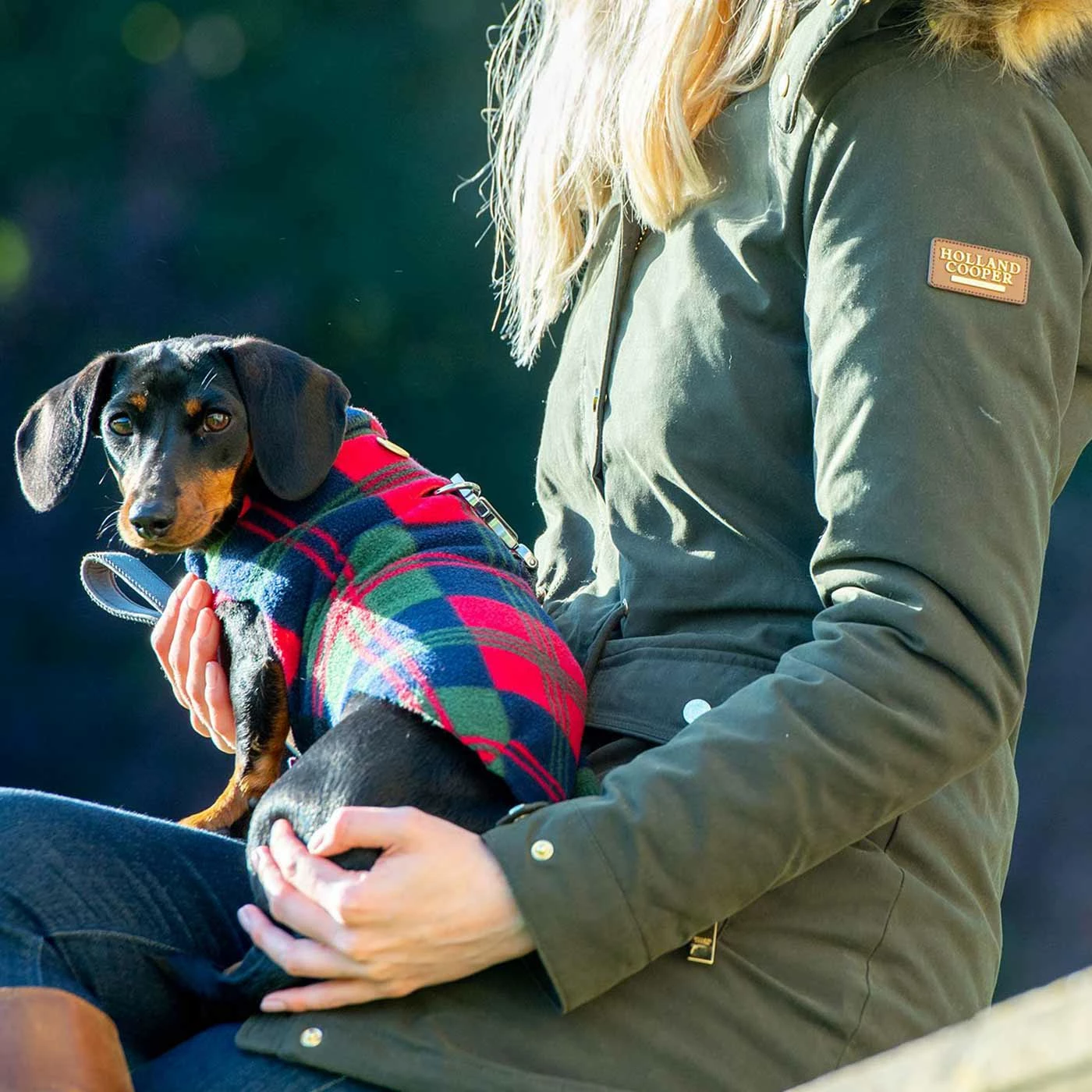 Best deal 😀 New 👏 Personalised Miniature Dachshund Fleece by Lords & Labradors 😀 😀 4 Best deal 😀 New 👏 Personalised Miniature Dachshund Fleece by Lords & Labradors 😀 😀 - Image 4