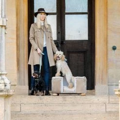 Budget ๐ฅ Best Sale ๐ฏ Lords & Labradors Personalised Mushroom Velvet Chesterfield ๐ฆฎ ๐ Dog Bed โ๏ธ ๐