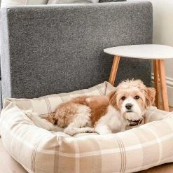 New ๐ Best reviews of ๐ Lords & Labradors Personalised Neutral Tweed Box Bed For ๐ ๐ฆฎ Dogs ๐ ๐งจ 36 New ๐ Best reviews of ๐ Lords & Labradors Personalised Neutral Tweed Box Bed For ๐ ๐ฆฎ Dogs ๐ ๐งจ -Cheap Lords & Labradors Store personalised neutral tweed box bed for dogs natural dog