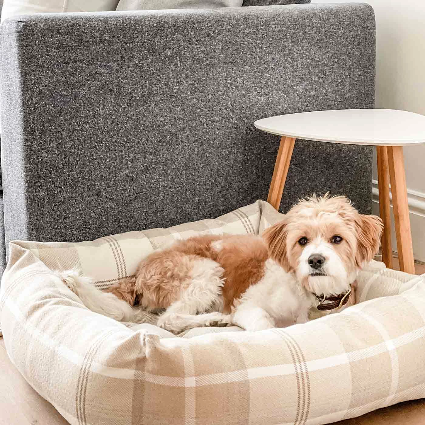 New ๐ Best reviews of ๐ Lords & Labradors Personalised Neutral Tweed Box Bed For ๐ ๐ฆฎ Dogs ๐ ๐งจ 15 New ๐ Best reviews of ๐ Lords & Labradors Personalised Neutral Tweed Box Bed For ๐ ๐ฆฎ Dogs ๐ ๐งจ - Image 15