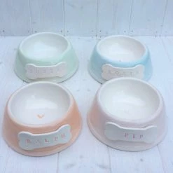 Cheapest ⭐ Budget 😍 Personalised Pastel 🐶 🦮 Dog Bowl by Purple Glaze - Angled 🛒 😉