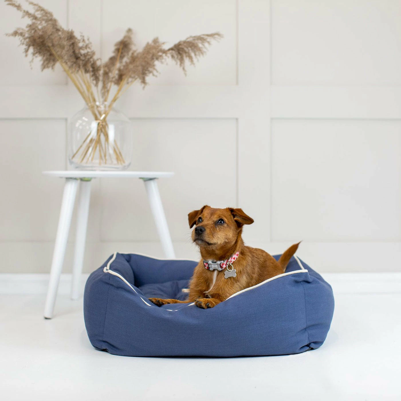 New ๐ Promo ๐ฅฐ Lords & Labradors Personalised Savanna Box Bed For ๐ ๐ถ Dogs ๐ ๐ 5 New ๐ Promo ๐ฅฐ Lords & Labradors Personalised Savanna Box Bed For ๐ ๐ถ Dogs ๐ ๐ - Image 5
