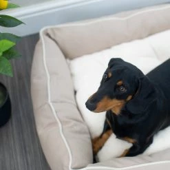 New ๐ Promo ๐ฅฐ Lords & Labradors Personalised Savanna Box Bed For ๐ ๐ถ Dogs ๐ ๐ 34 New ๐ Promo ๐ฅฐ Lords & Labradors Personalised Savanna Box Bed For ๐ ๐ถ Dogs ๐ ๐ -Cheap Lords & Labradors Store personalised savanna box bed for dogs oatmeal dog