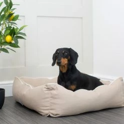 New ๐ Promo ๐ฅฐ Lords & Labradors Personalised Savanna Box Bed For ๐ ๐ถ Dogs ๐ ๐ 33 New ๐ Promo ๐ฅฐ Lords & Labradors Personalised Savanna Box Bed For ๐ ๐ถ Dogs ๐ ๐ -Cheap Lords & Labradors Store personalised savanna box bed for dogs oatmeal lifestyle