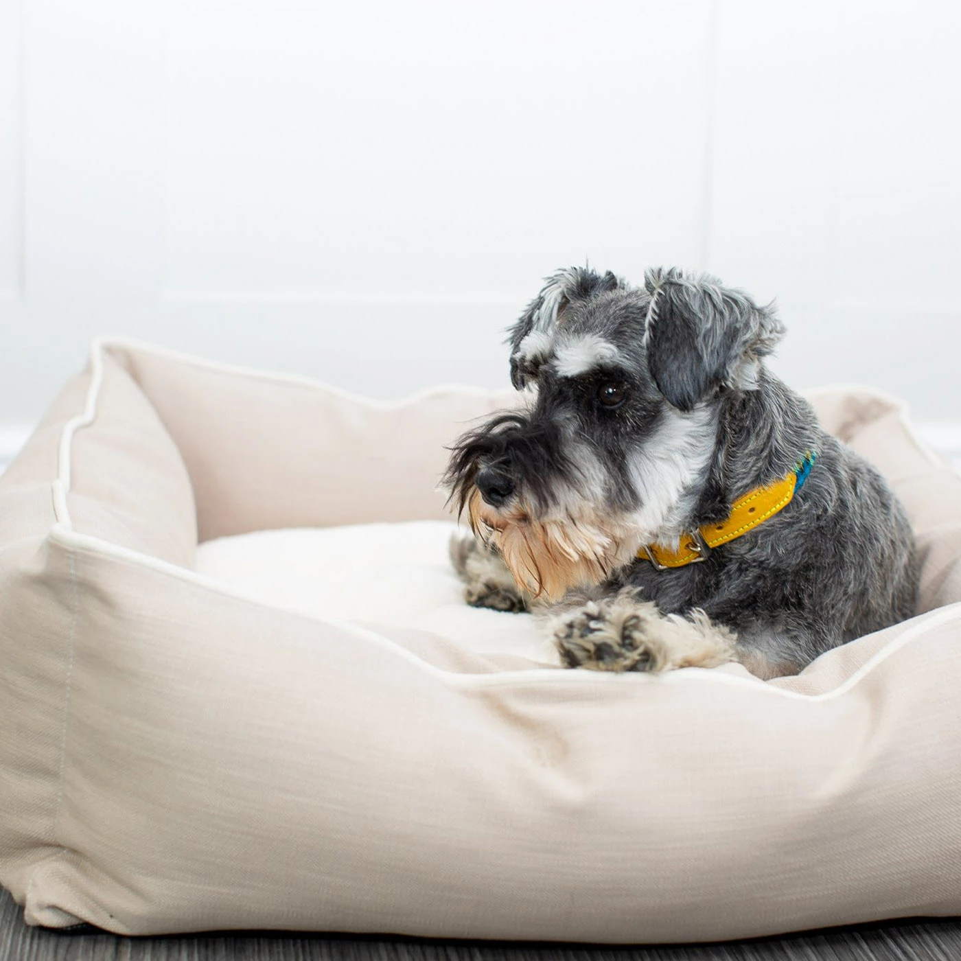 New ๐ Promo ๐ฅฐ Lords & Labradors Personalised Savanna Box Bed For ๐ ๐ถ Dogs ๐ ๐ 18 New ๐ Promo ๐ฅฐ Lords & Labradors Personalised Savanna Box Bed For ๐ ๐ถ Dogs ๐ ๐ - Image 18