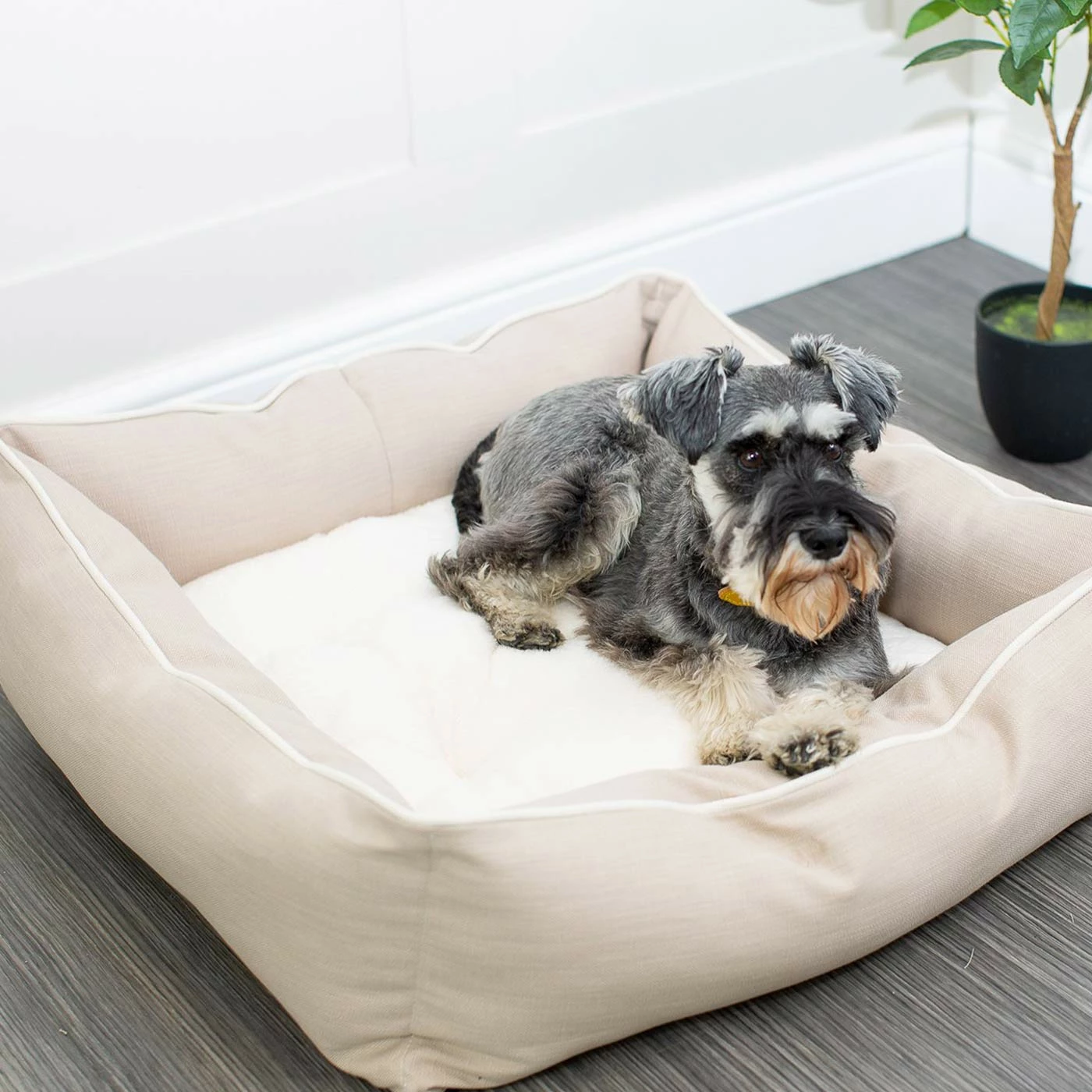 New ๐ Promo ๐ฅฐ Lords & Labradors Personalised Savanna Box Bed For ๐ ๐ถ Dogs ๐ ๐ 19 New ๐ Promo ๐ฅฐ Lords & Labradors Personalised Savanna Box Bed For ๐ ๐ถ Dogs ๐ ๐ - Image 19