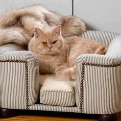 Cheap Lords & Labradors Store -Cheap Lords & Labradors Store personalised tetford concept cat chesterfield