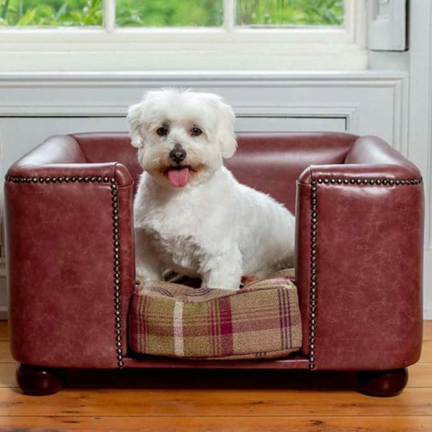 Budget ⭐ Discount 😍 Lords & Labradors Personalised Tetford 🐶 🐕 Dog Chesterfield in Berry Leather ✔️ ✨ 1 Budget ⭐ Discount 😍 Lords & Labradors Personalised Tetford 🐶 🐕 Dog Chesterfield in Berry Leather ✔️ ✨