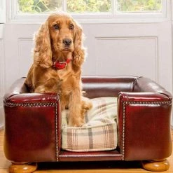 Cheap ๐ฅฐ Hot Sale ๐ Lords & Labradors Personalised Tetford ๐ฆฎ ๐ถ Dog Chesterfield in Oxblood Leather โ๏ธ ๐คฉ