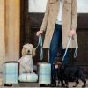 Best Pirce 👍 Buy ❤️ Lords & Labradors Personalised Tetford 🦮 🐕 Dog Chesterfield in Tan Leather & Duck Egg Tweed 😀 🎁