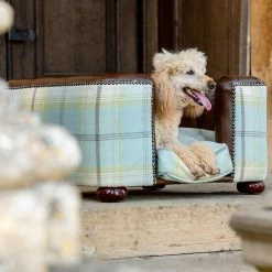 Best Pirce 👍 Buy ❤️ Lords & Labradors Personalised Tetford 🦮 🐕 Dog Chesterfield in Tan Leather & Duck Egg Tweed 😀 🎁 -Cheap Lords & Labradors Store personalised tetford dog chesterfield in tan leather duck egg tweed side