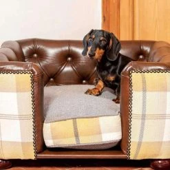 Best deal ⭐ Outlet 🔥 Lords & Labradors Personalised Tetford 🦮 🦮 Dog Chesterfield in Tan Leather & Ochre Ash Tweed ⌛ 🛒 -Cheap Lords & Labradors Store personalised tetford dog chesterfield in tan leather ochre ash tweed dog