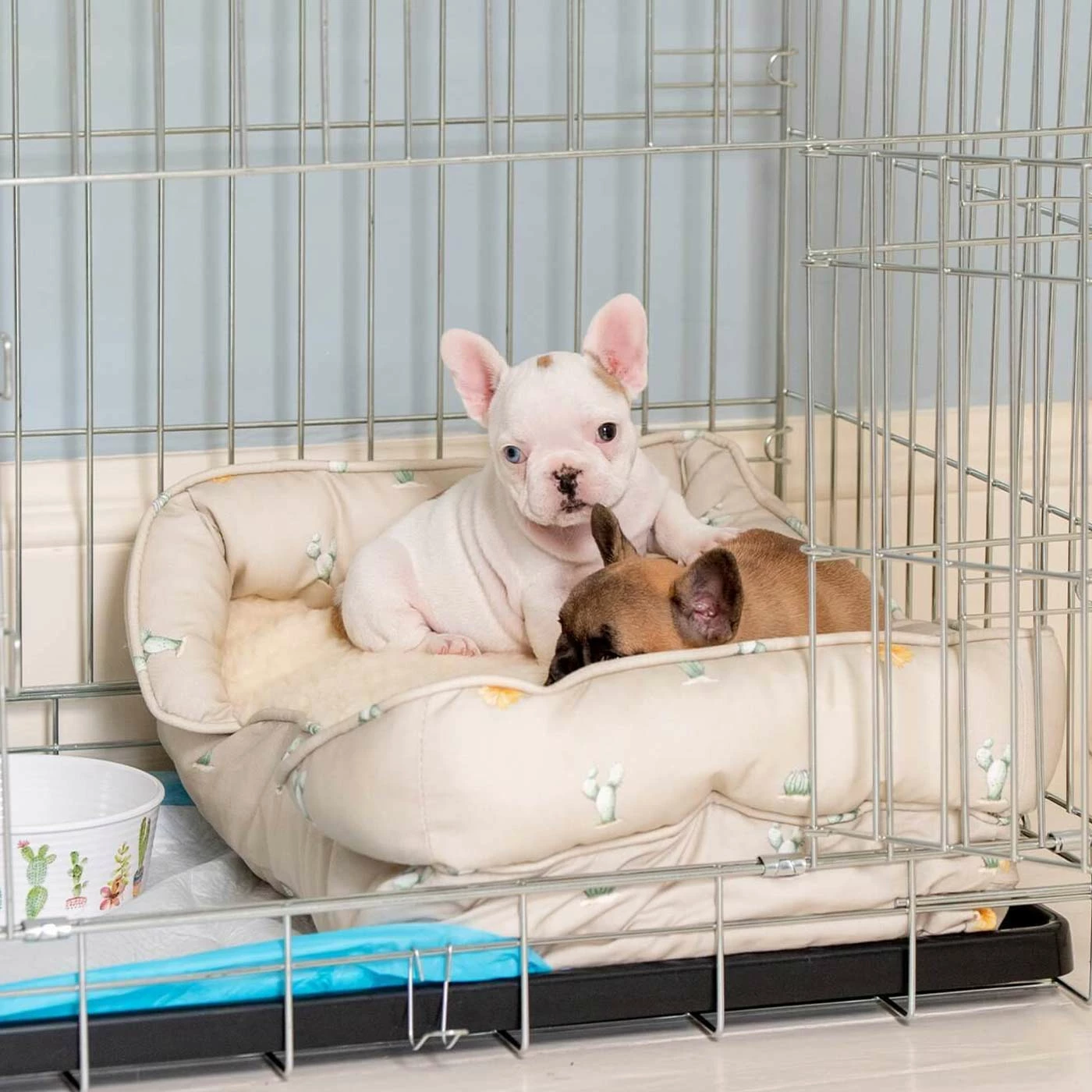 Deals 😉 Outlet 😉 Puppy Crate Beds By Lords & Labradors 🌟 👏 10 Deals 😉 Outlet 😉 Puppy Crate Beds By Lords & Labradors 🌟 👏 - Image 10