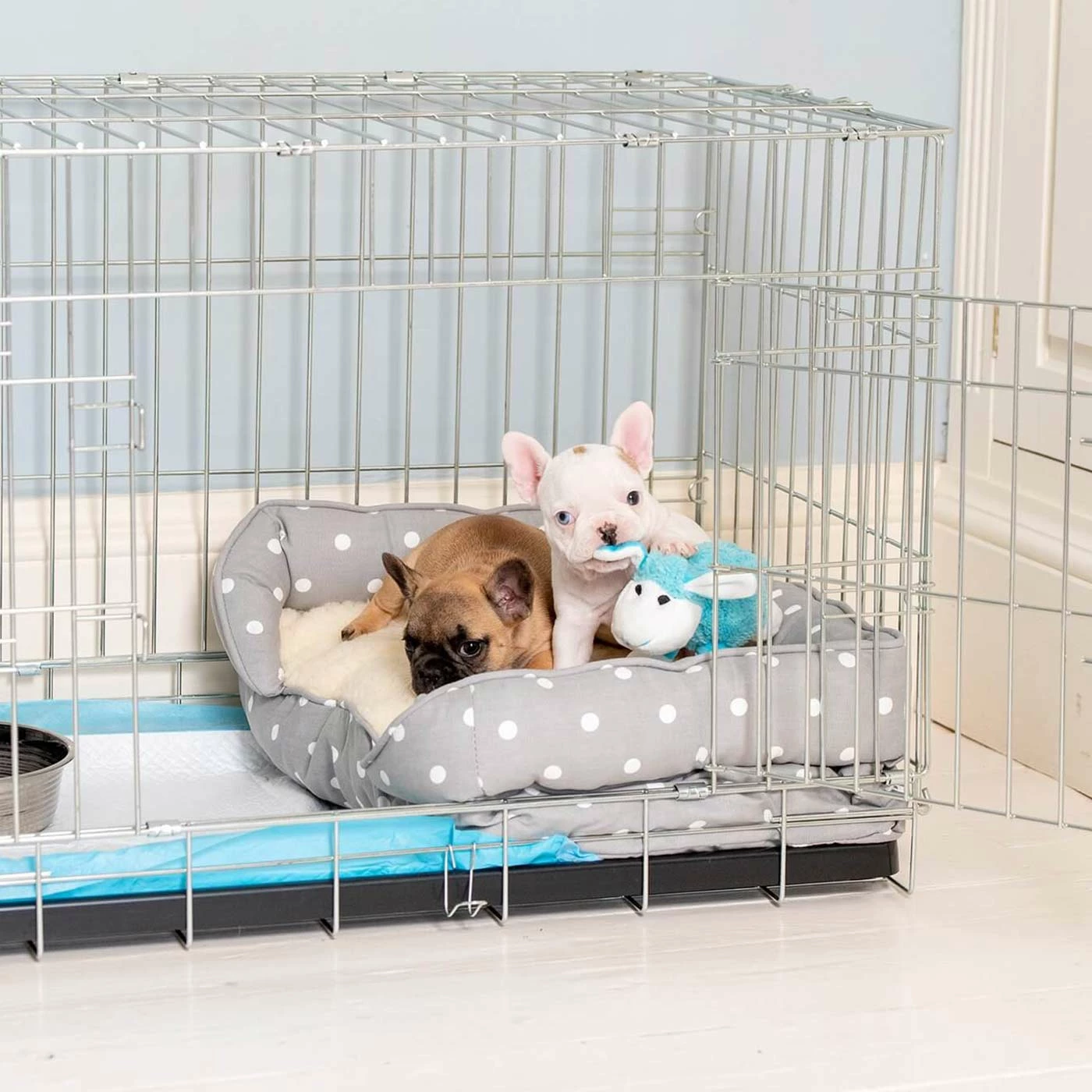 Deals 😉 Outlet 😉 Puppy Crate Beds By Lords & Labradors 🌟 👏 4 Deals 😉 Outlet 😉 Puppy Crate Beds By Lords & Labradors 🌟 👏 - Image 4
