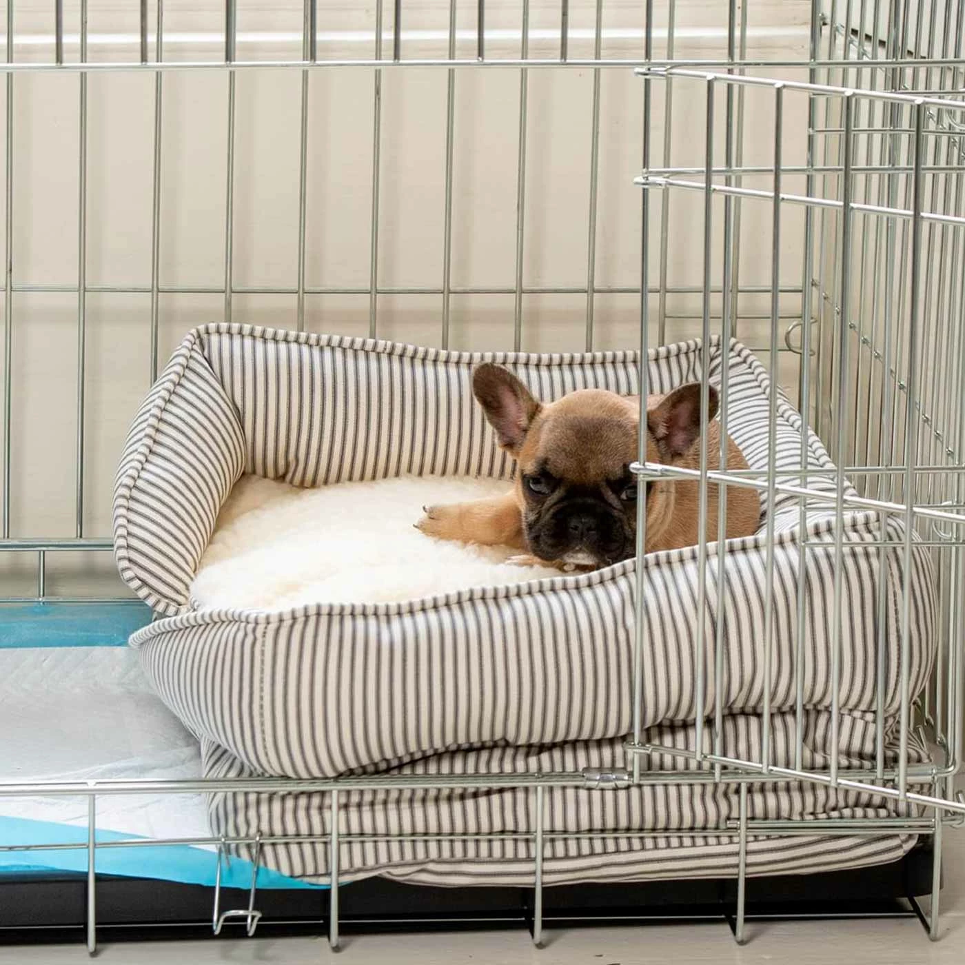 Deals 😉 Outlet 😉 Puppy Crate Beds By Lords & Labradors 🌟 👏 2 Deals 😉 Outlet 😉 Puppy Crate Beds By Lords & Labradors 🌟 👏 - Image 2