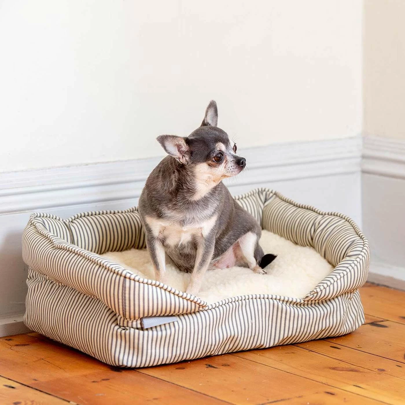 Deals 😉 Outlet 😉 Puppy Crate Beds By Lords & Labradors 🌟 👏 1 Deals 😉 Outlet 😉 Puppy Crate Beds By Lords & Labradors 🌟 👏