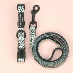 Brand new 👍 Best Pirce ⭐ Lords & Labradors Puppy Essentials Pack - Medium Breeds 👏 🌟 -Cheap Lords & Labradors Store puppy essentials pack medium dogs cocopop lead