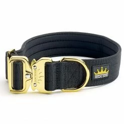 Cheap 🥰 Buy 🔥 Regal 🦮 🦮 Dog Gold Series Collar 😉 ⌛ -Cheap Lords & Labradors Store regal gold series lead black studio
