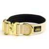 Cheap 🥰 Buy 🔥 Regal 🦮 🦮 Dog Gold Series Collar 😉 ⌛