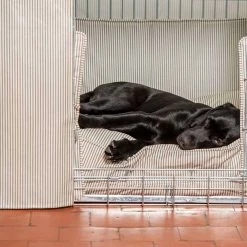 New ๐ฏ Top 10 ๐ฏ ๐ฆฎ Dog Crate Set in Regency Stripe Oil Cloth by Lords & Labradors ๐คฉ ๐ 17 New ๐ฏ Top 10 ๐ฏ ๐ฆฎ Dog Crate Set in Regency Stripe Oil Cloth by Lords & Labradors ๐คฉ ๐ -Cheap Lords & Labradors Store regency stripe oil cloth crate set by lords labradors close up