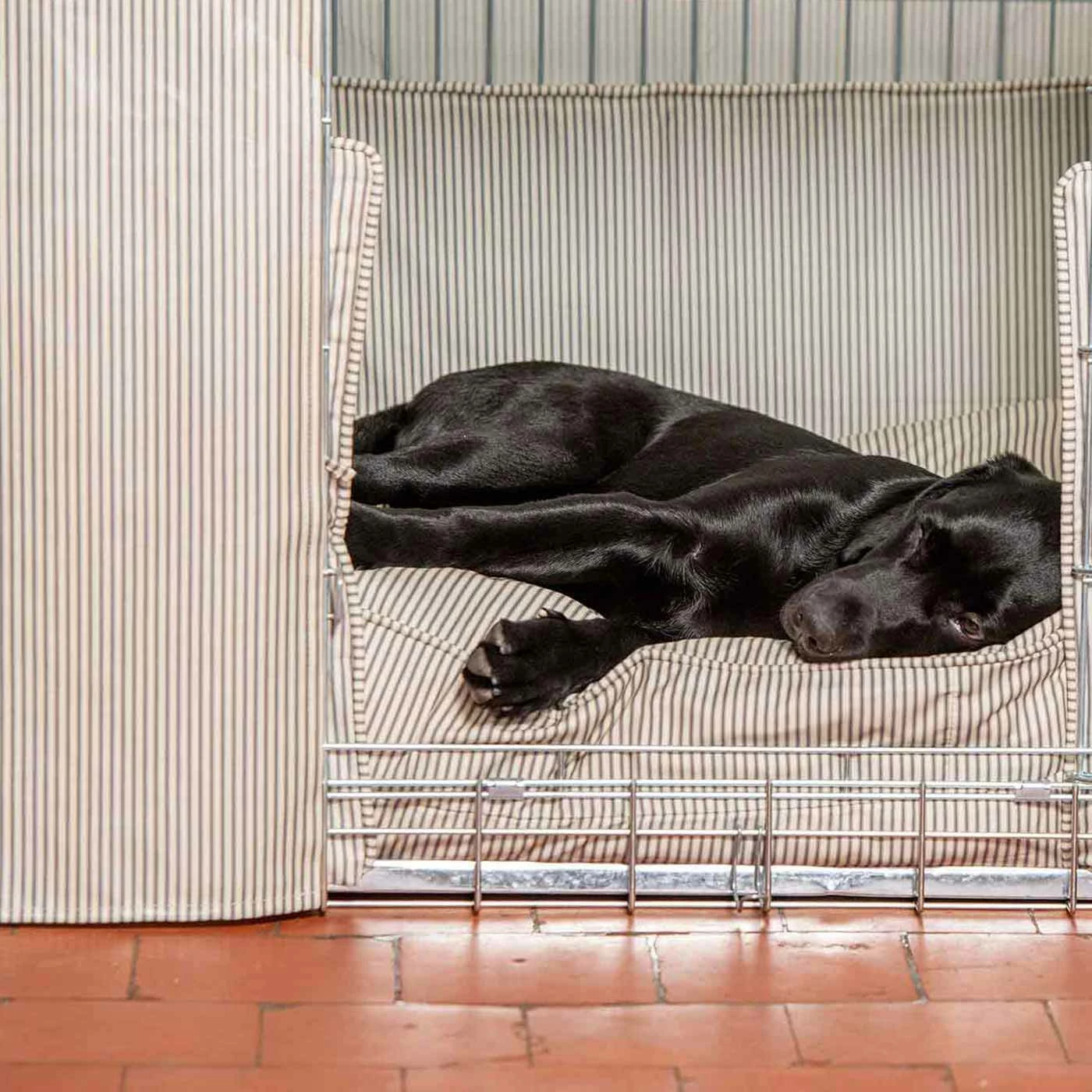 New ๐ฏ Top 10 ๐ฏ ๐ฆฎ Dog Crate Set in Regency Stripe Oil Cloth by Lords & Labradors ๐คฉ ๐ 7 New ๐ฏ Top 10 ๐ฏ ๐ฆฎ Dog Crate Set in Regency Stripe Oil Cloth by Lords & Labradors ๐คฉ ๐ - Image 7