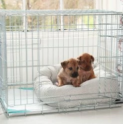 Cheap 🔔 Coupon 👏 🐕 Dog Crate with Cosy & Calm Puppy Bed Set By Lords & Labradors 🔔 🔥 10 Cheap 🔔 Coupon 👏 🐕 Dog Crate with Cosy & Calm Puppy Bed Set By Lords & Labradors 🔔 🔥 -Cheap Lords & Labradors Store regency4 1920x 9ae3e3ef 4816 4848 80ff baefba3f4111 1