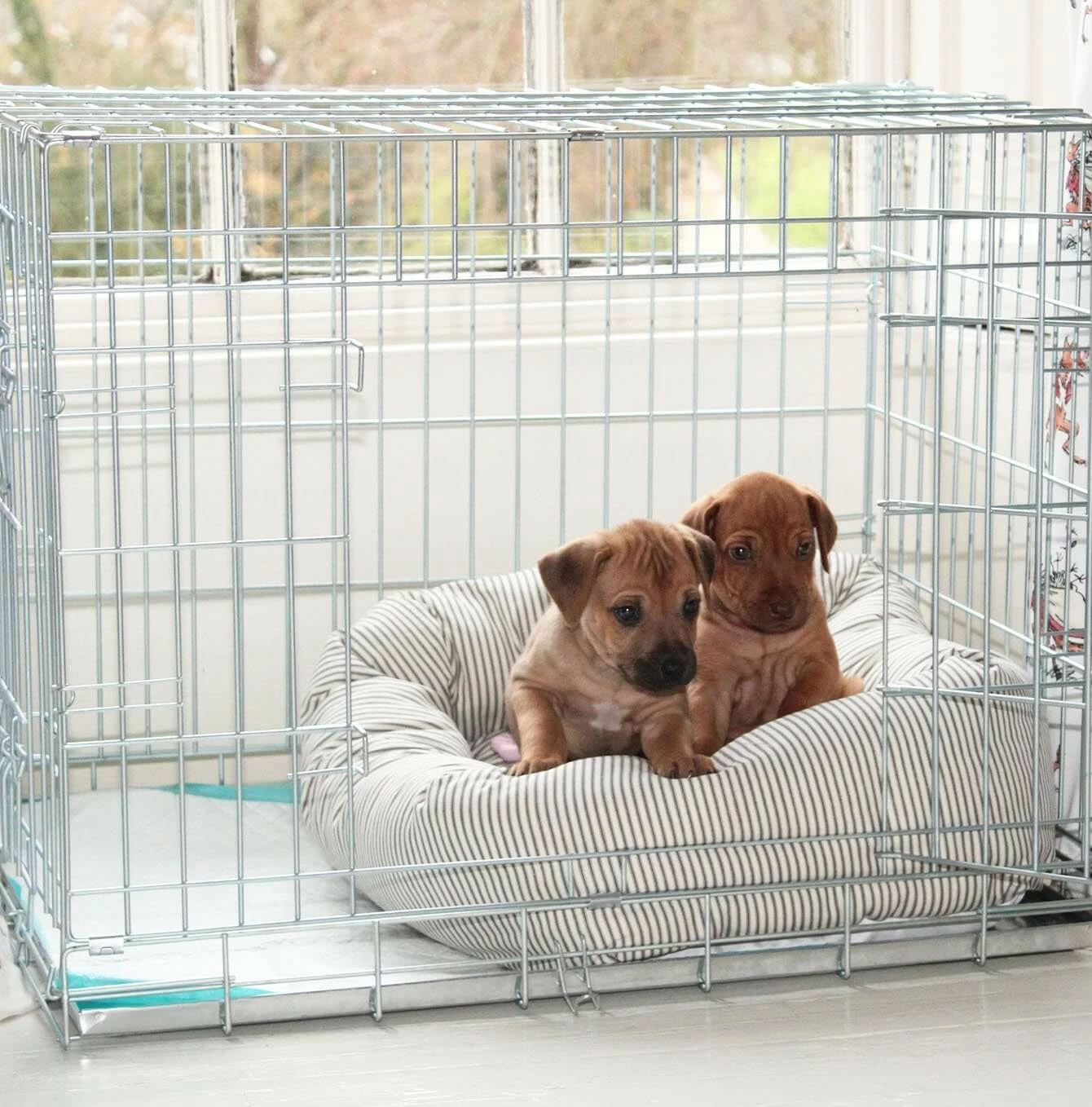 Cheap 🔔 Coupon 👏 🐕 Dog Crate with Cosy & Calm Puppy Bed Set By Lords & Labradors 🔔 🔥 3 Cheap 🔔 Coupon 👏 🐕 Dog Crate with Cosy & Calm Puppy Bed Set By Lords & Labradors 🔔 🔥 - Image 3