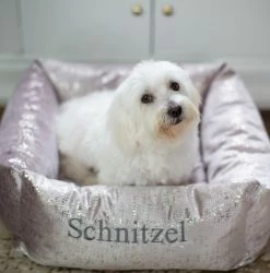 Top 10 👍 Buy 🛒 Lords & Labradors Luxury Zinc Velvet Box Bed For 🦮 🐕 Dogs 🔥 👍 -Cheap Lords & Labradors Store rosegoldzinc2 5d188b28 4a6c 4ba7 9b83 afb586a776b2