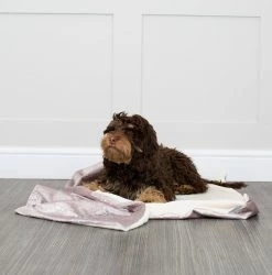 Cheap 💯 Deals 💯 🐕 Dog & Puppy Blanket in Zinc Velvet By Lords & Labradors 🌟 😍 -Cheap Lords & Labradors Store rosegoldzinc2 b6217a99 8f88 4674 90f7 fa5c0b5fb213