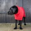 New ✔️ Best Sale 🌟 Lords & Labradors Outlet Ruff and Tumble Classic Drying 🧥 🧥 Coat ✔️ ✔️