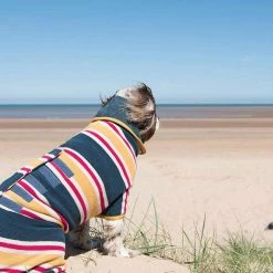 Hot Sale 😉 Best reviews of ⌛ Lords & Labradors Outlet Ruff and Tumble Design Collection Drying 🧥 🧥 Coat 🔔 ⌛