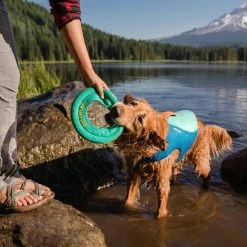 Best Sale β¨ Best reviews of π RuffWear Float π§₯ π§₯ Coat Life Jacket π π