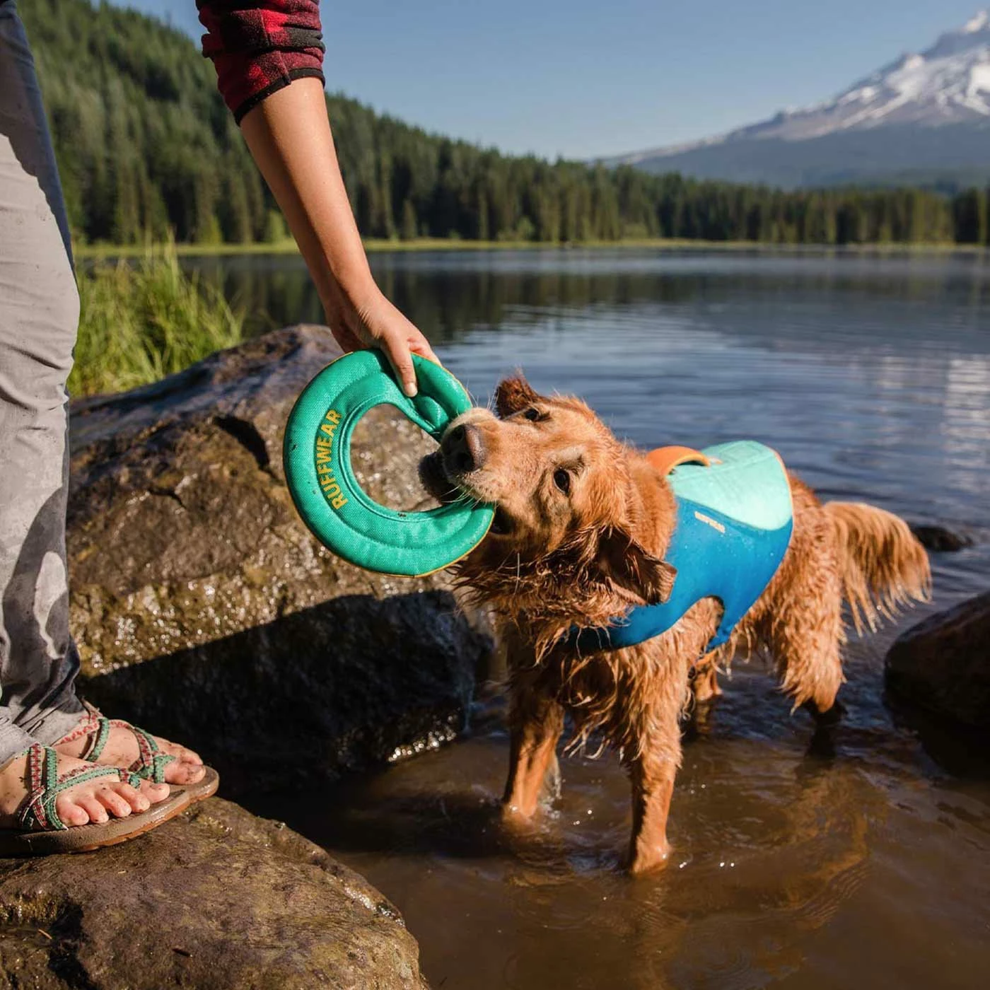 Best Sale ✨ Best reviews of 🔔 RuffWear Float 🧥 🧥 Coat Life Jacket 😍 👏 1 Best Sale ✨ Best reviews of 🔔 RuffWear Float 🧥 🧥 Coat Life Jacket 😍 👏