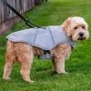 New 👍 Best reviews of 🔥 Lords & Labradors Outlet RuffWear Quinzee Insulated Jacket 👍 👏