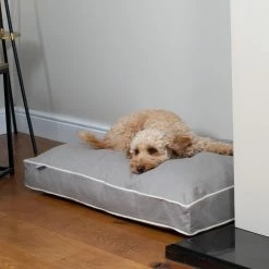 Budget 😀 New 🎉 🦮 Dog Cushion in Savanna Stone by Lords & Labradors 🔥 🌟