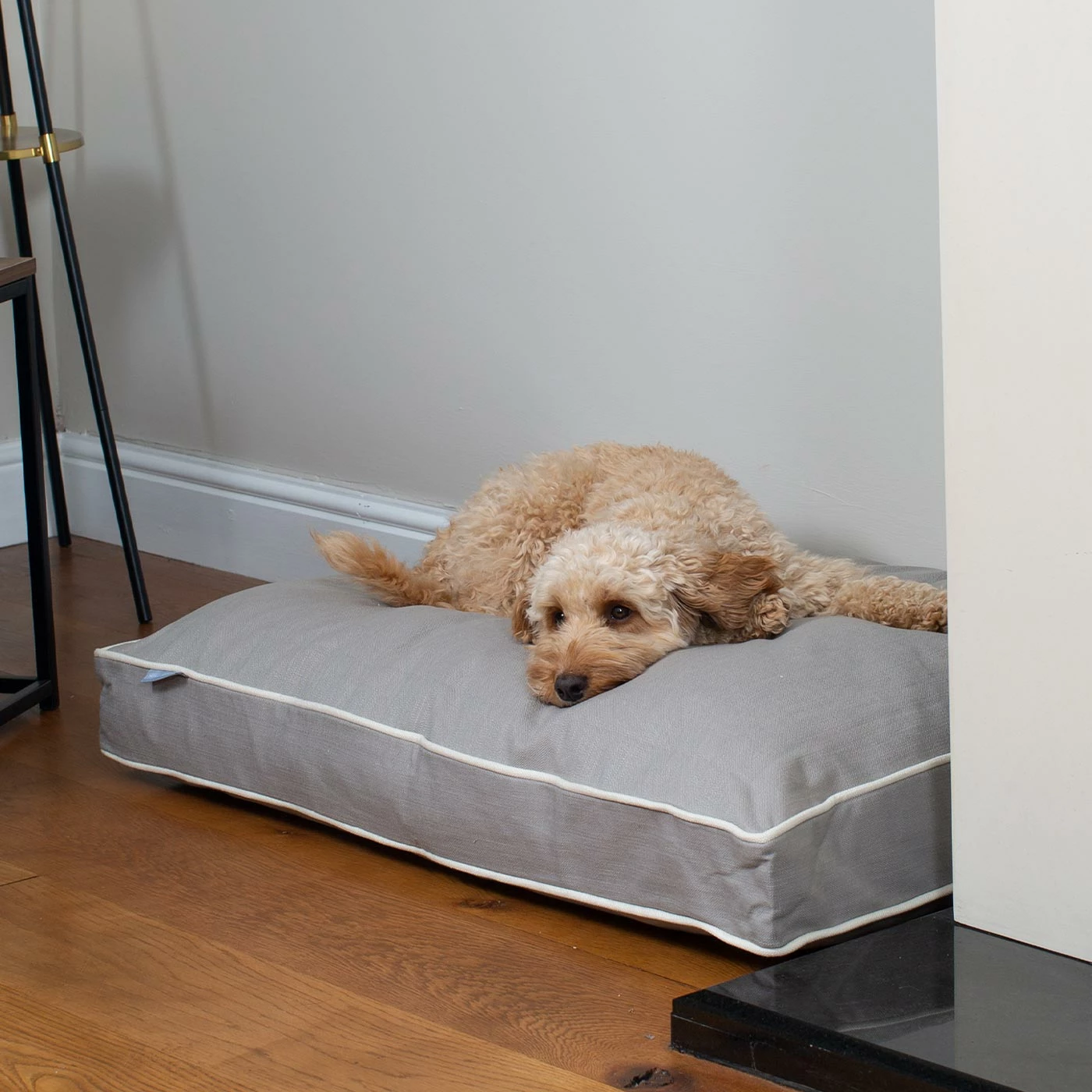 Budget ๐ New ๐ ๐ฆฎ Dog Cushion in Savanna Stone by Lords & Labradors ๐ฅ ๐ 1 Budget ๐ New ๐ ๐ฆฎ Dog Cushion in Savanna Stone by Lords & Labradors ๐ฅ ๐