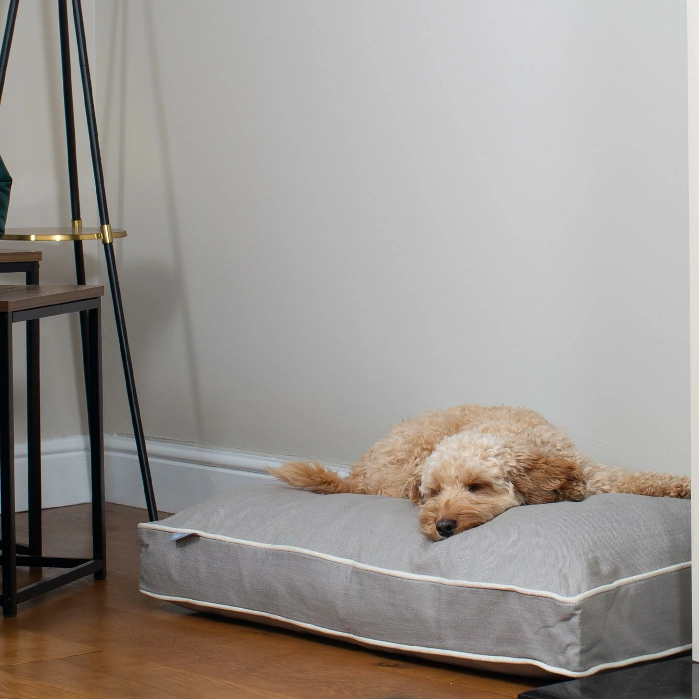 Budget ๐ New ๐ ๐ฆฎ Dog Cushion in Savanna Stone by Lords & Labradors ๐ฅ ๐ 2 Budget ๐ New ๐ ๐ฆฎ Dog Cushion in Savanna Stone by Lords & Labradors ๐ฅ ๐ - Image 2