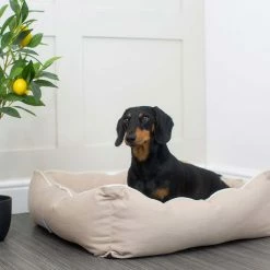 Best reviews of 👍 Outlet 🤩 Lords & Labradors Savanna Box Bed For 🦮 🐕 Dogs 😉 ❤️ -Cheap Lords & Labradors Store savannah box bed for dogs dog