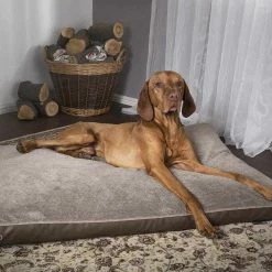 Best Sale 😍 Cheap ✨ Scruffs Château Orthopaedic 🐶 🐕 Dog Mattress 🔔 🧨