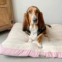 Cheapest โ๏ธ Best Pirce โ Lords & Labradors Outlet Scruffs Ellen Mattress Pet Bed ๐ ๐ฅ