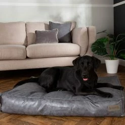 Cheapest 🤩 Best Sale ❤️ Scruffs Knightsbridge Mattress ✔️ ❤️ -Cheap Lords & Labradors Store scruffs knightsbridge mattress grey dog