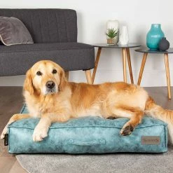 Cheapest 🤩 Best Sale ❤️ Scruffs Knightsbridge Mattress ✔️ ❤️ -Cheap Lords & Labradors Store scruffs knightsbridge mattress turquoise lifestyle material