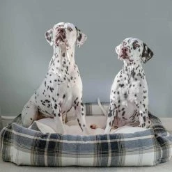 Promo 👍 Best deal 🥰 Lords & Labradors Neutral Tweed Box Bed For 🦮 🐕 Dogs 🧨 ✨